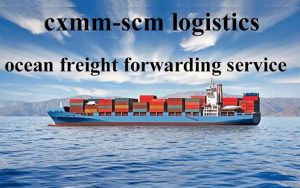 Ocean Freight Forwarding Service