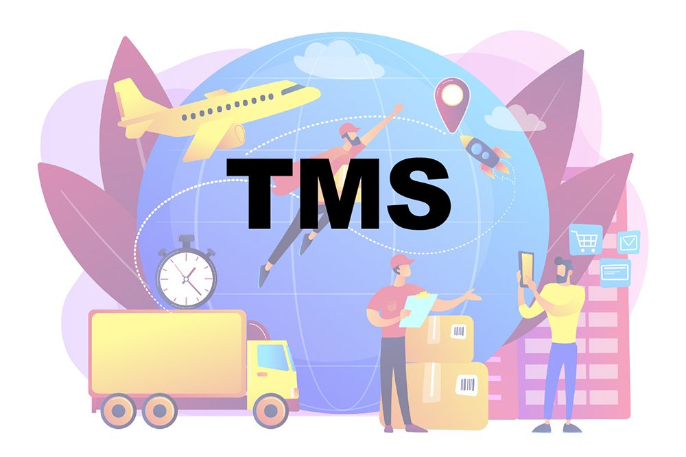 What is TMS
